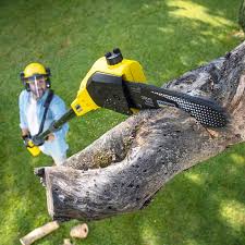 Best Weed Control  in Graton, CA