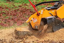 Best Organic Lawn Care Solutions  in Graton, CA